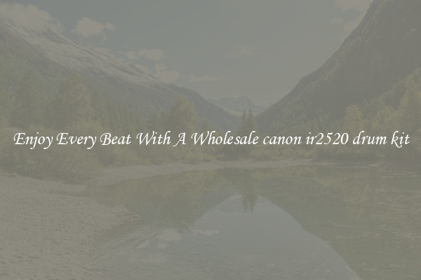 Enjoy Every Beat With A Wholesale canon ir2520 drum kit