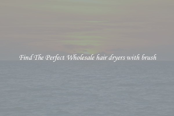 Find The Perfect Wholesale hair dryers with brush
