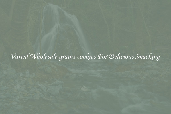 Varied Wholesale grains cookies For Delicious Snacking 