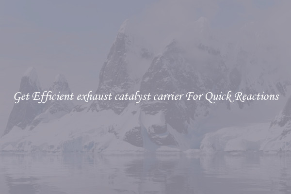 Get Efficient exhaust catalyst carrier For Quick Reactions
