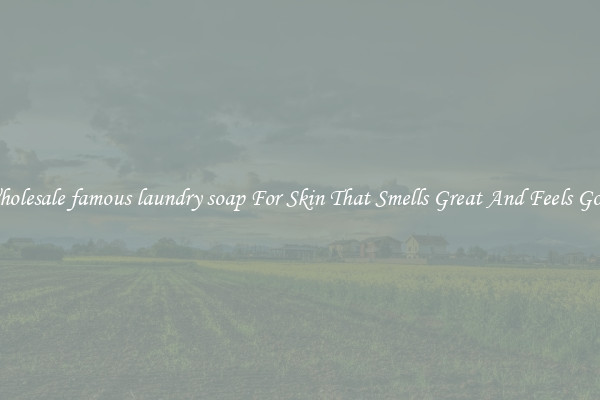 Wholesale famous laundry soap For Skin That Smells Great And Feels Good