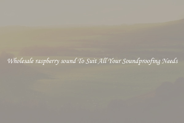 Wholesale raspberry sound To Suit All Your Soundproofing Needs