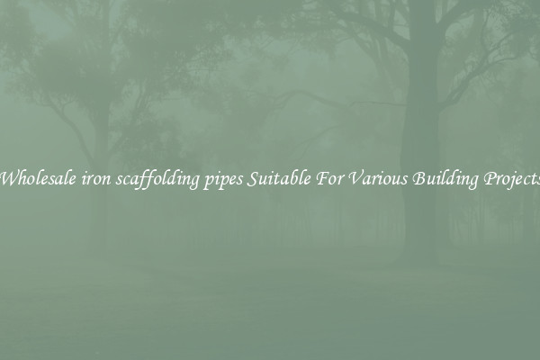 Wholesale iron scaffolding pipes Suitable For Various Building Projects