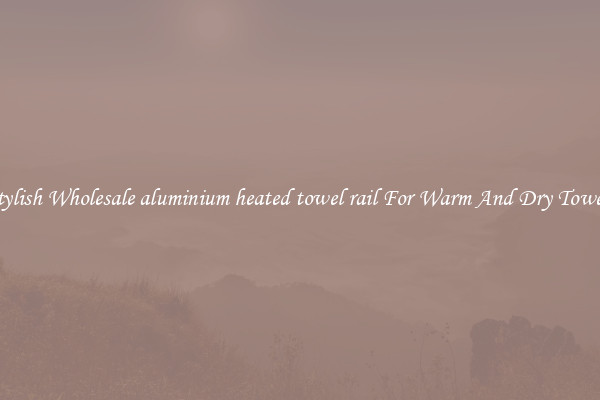 Stylish Wholesale aluminium heated towel rail For Warm And Dry Towels