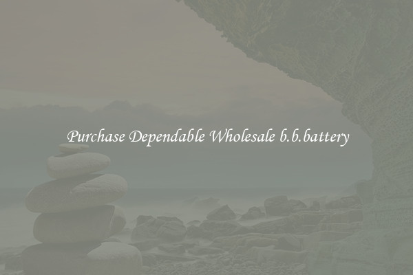 Purchase Dependable Wholesale b.b.battery