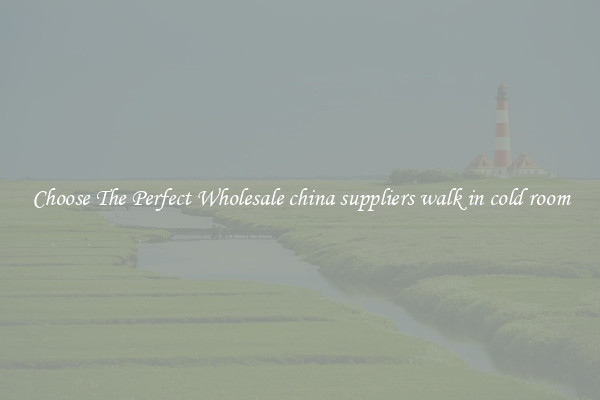 Choose The Perfect Wholesale china suppliers walk in cold room