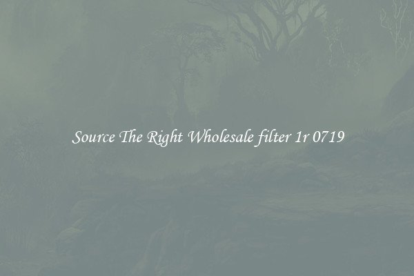 Source The Right Wholesale filter 1r 0719