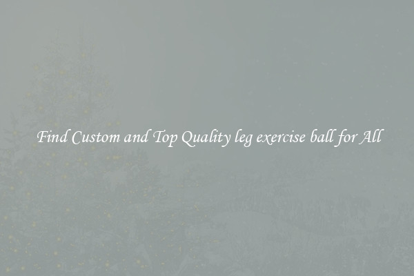 Find Custom and Top Quality leg exercise ball for All