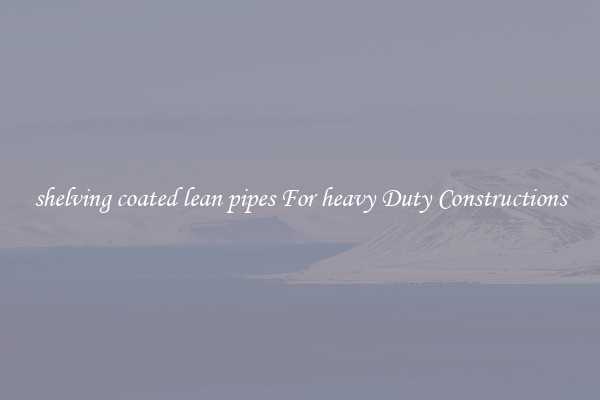 shelving coated lean pipes For heavy Duty Constructions