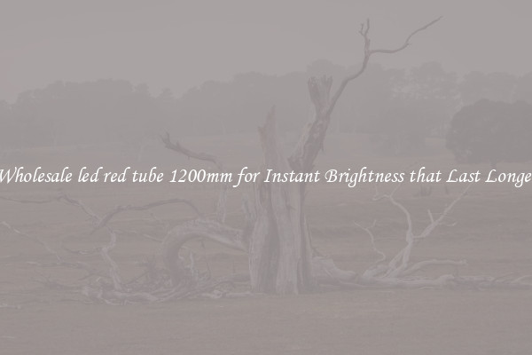 Wholesale led red tube 1200mm for Instant Brightness that Last Longer