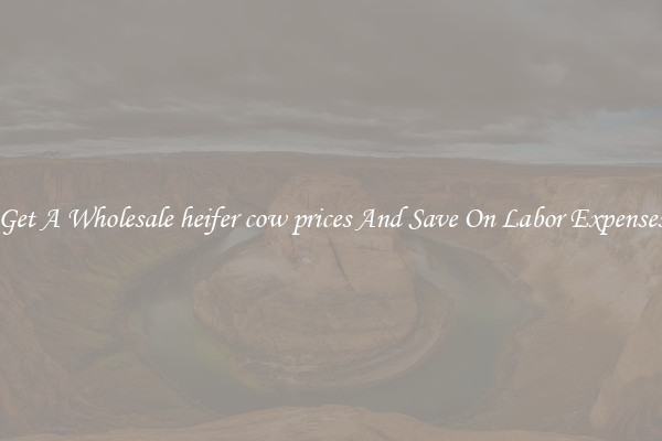 Get A Wholesale heifer cow prices And Save On Labor Expenses